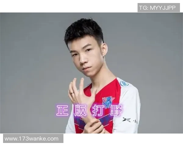 王者荣耀LNG战队意识分析与战术探讨的深度研究